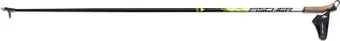 <?= Fischer RC3 Carbon Z41519 21/22 (160 см) ?>
