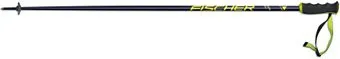 <?= Fischer Rc4 SL Z30319 19/20 (135 см) ?>