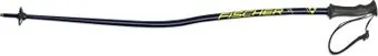 <?= Fischer Rc4 Gs Jr Z36119 20/21 (80 см) ?>