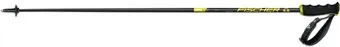 <?= Fischer Rc4 Cf Z30220 20/21 (130 см) ?>