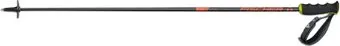 <?= Fischer Rc4 The Curv CF Z30020 (110 см) ?>