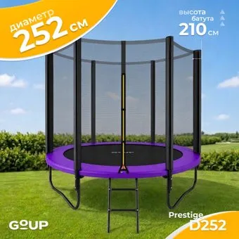 GoUP Prestige-D252 (с сеткой и лестницей, фиолетовый)