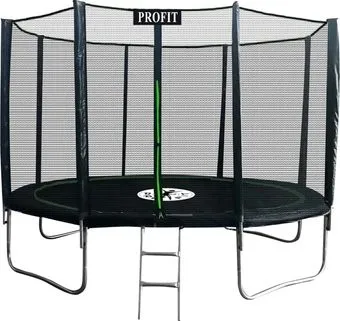 ProFit Premium Black 312 см Pro (с внешней сеткой и лестницей)