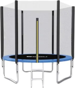 <?= Dibu 8FT 244 см (с защитной сеткой и лестницей) ?>