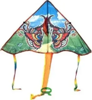 Ausini VT20-10419
