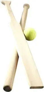 Spektr Sport две биты и один мяч (в чехле)