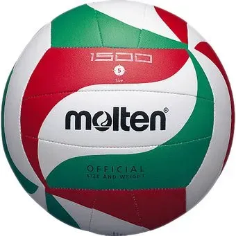 Molten V5M1500 (5 размер)