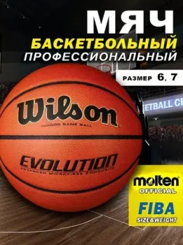 Wilson Evolution WTB0586XBEMEA (6 размер)