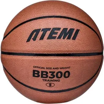 Atemi BB300N (5 размер)