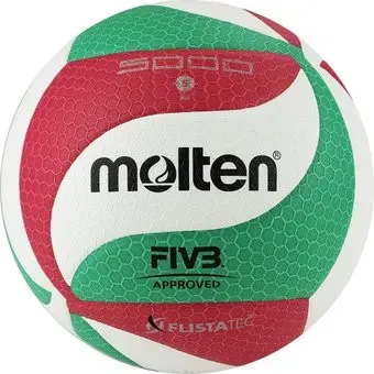 Molten V5M5000X (5 размер)