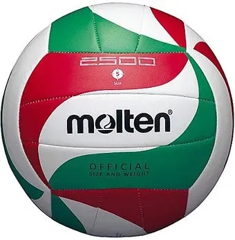 Molten V5M2500 (5 размер)
