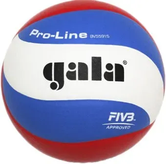 Gala Pro Line BV5591S (5 размер)