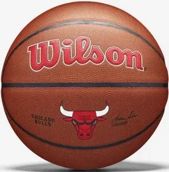 Wilson NBA Chicago Bulls (7 размер)