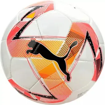 Puma Futsal 2 HS 08376401 (4 размер)