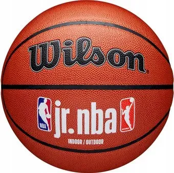 Wilson JR.NBA Fam Logo Indoor Outdoor WZ2009801XB7 (размер 7)