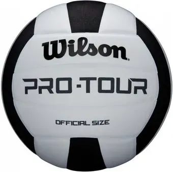Wilson Pro Tour Vb WTH20119X (5 размер, белый/черный)