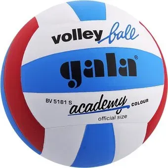 Gala Academy BV 5181 S (5 размер, белый/синий/красный)