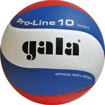 Gala Pro Line 10 BV 5581 S (5 размер, белый/синий/красный)
