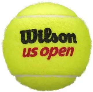 Wilson US Open WRT116200 (4 шт)