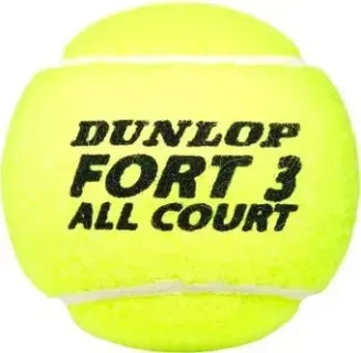 Dunlop Fort All Court (4 шт)