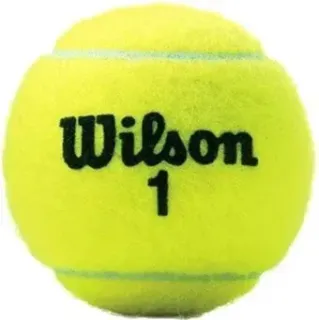 Wilson Championship Extra Duty WRT100101 (3 шт)