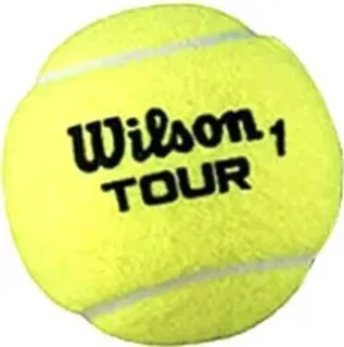 Wilson Tour All Court WRT115700 (4 шт)