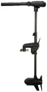 Haswing Protruar 1.0 12V 65 lbs (66 см)