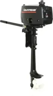 Golfstream (Parsun) T2.6 CBMS