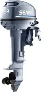 Seanovo SN9.9FHS