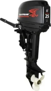 Golfstream (Parsun) T25BMS