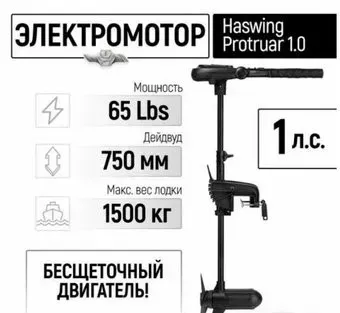 Haswing Protruar 1.0 12V 65 lbs (75 см)