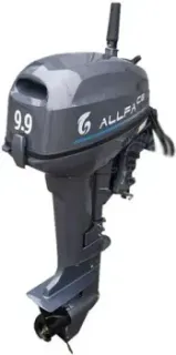Allfa CG T9.9BW S