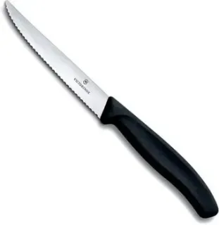 Victorinox 6.7233