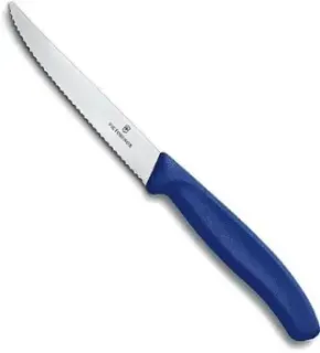 Victorinox 6.7232