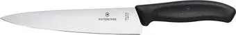 Victorinox 6.8003.19G