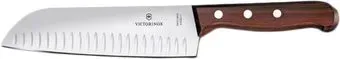 Victorinox 6.8520.17G
