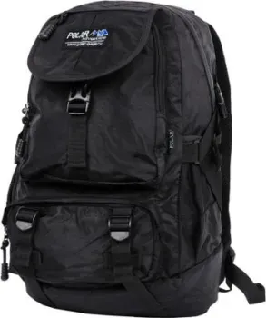Polar 2810