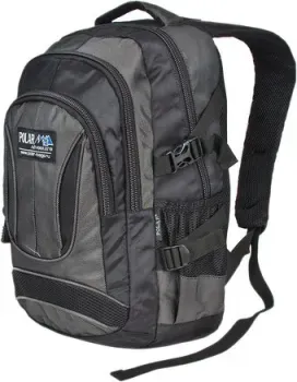 Polar 38309