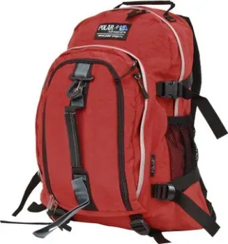 Polar П955 (бордовый)
