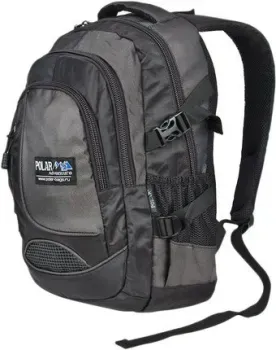 Polar 38249