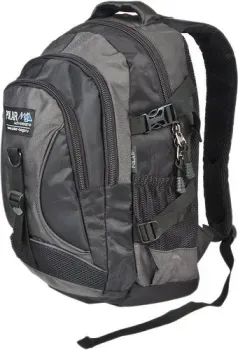 Polar 38099