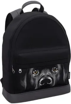 Erich Krause StreetLine Black Dog 60349