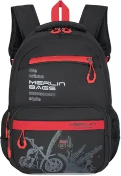 Merlin Y-665