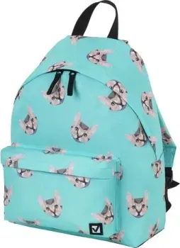 BRAUBERG Cats 229881