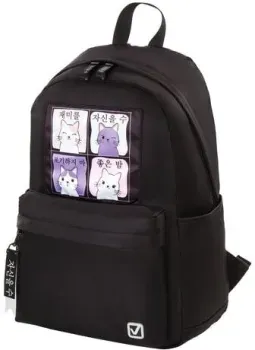 BRAUBERG Friendly cats 229965