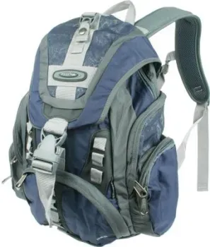 Polar П1507 (синий)
