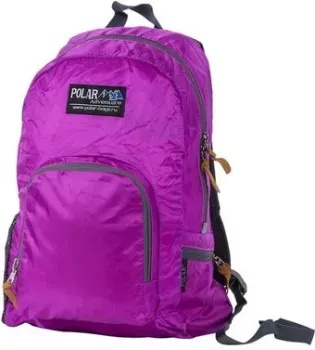 Polar П2102 (фиолетовый)