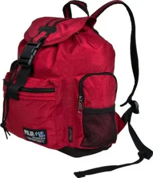 Polar П813 (бордовый)