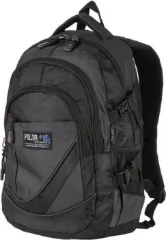 Polar 38239 (черный)