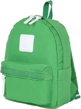 Polar 17203 (зеленый)